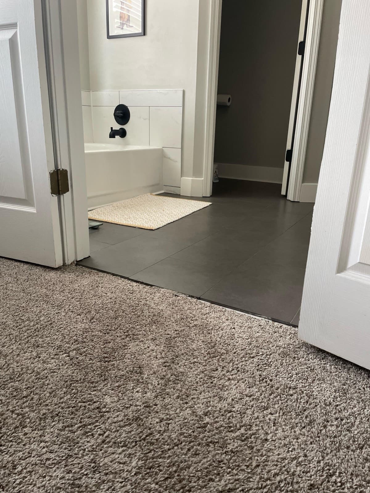 Carpet